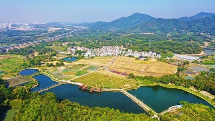 "網(wǎng)紅村"再添頭銜,逕下鄉(xiāng)村旅游景區(qū)獲評(píng)國(guó)家3A級(jí)旅游景區(qū)