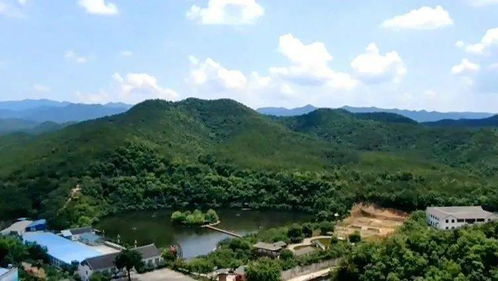南莊村 農(nóng)旅結(jié)合讓風(fēng)景變財(cái)富