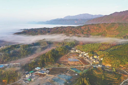 江淮 有禮 徽風皖韻帶回家