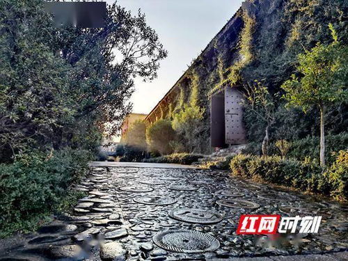 代表委員熱議旅游丨李國武 將在湖南旅游發展大會上唱首 私人花園