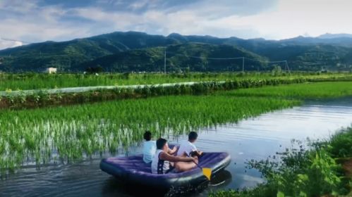 今天農民豐收節,細數岐山9鎮農業哪家強
