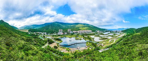 又一酒店度假項目落戶!南澳東涌片區旅游品質再迎升級