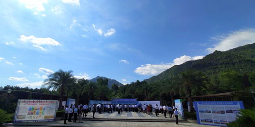 2022年九江市旅游產(chǎn)業(yè)發(fā)展大會召開